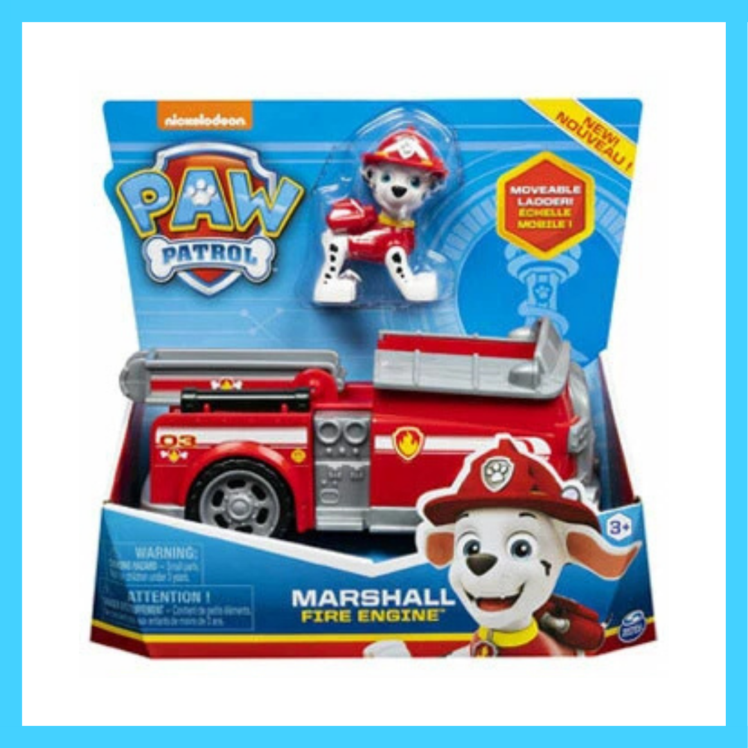 #6064450 PAW VHC BASIC VALUE VEHICLES AST - CORE