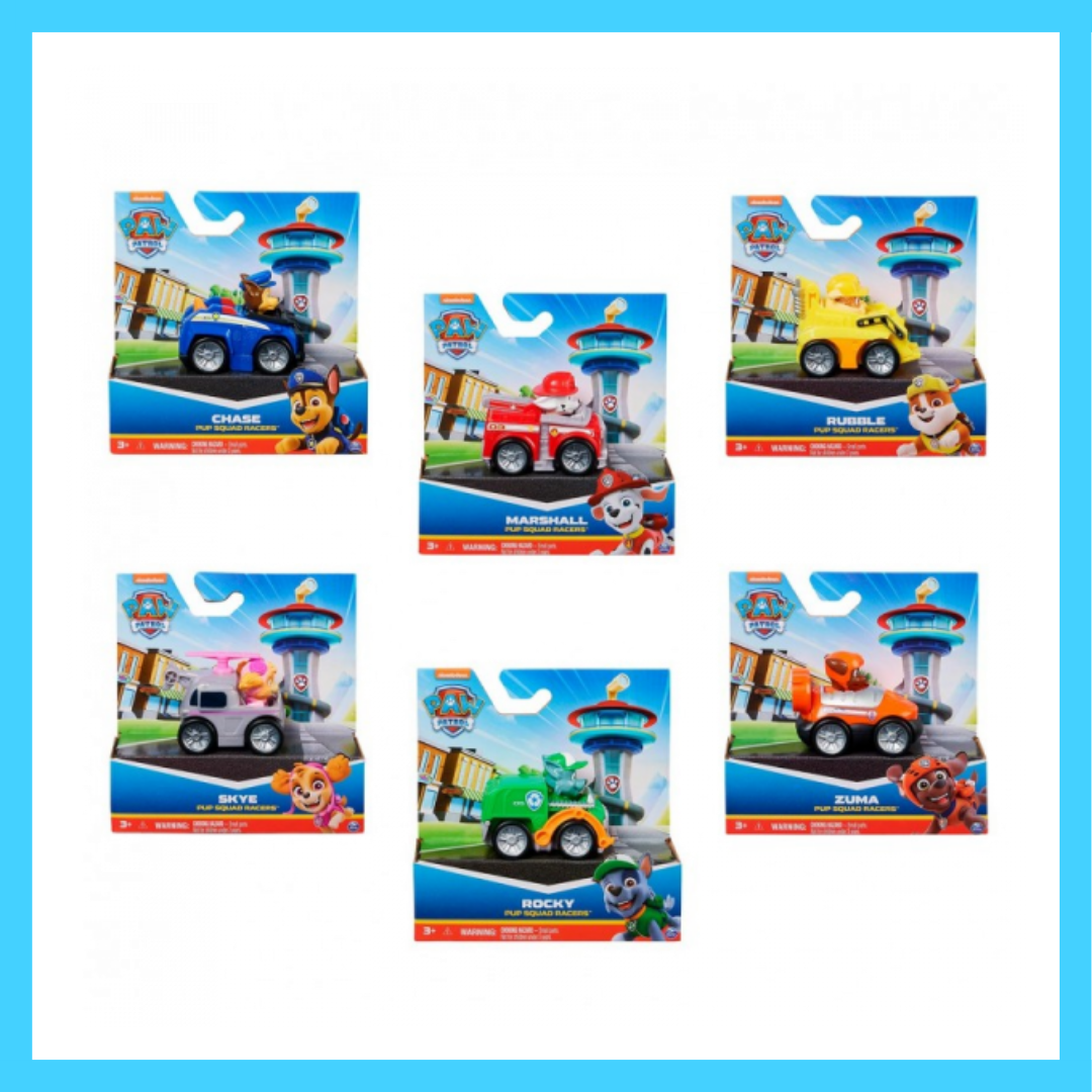 #6070433 PAW VHC RACER PUP SQUAD - CORE